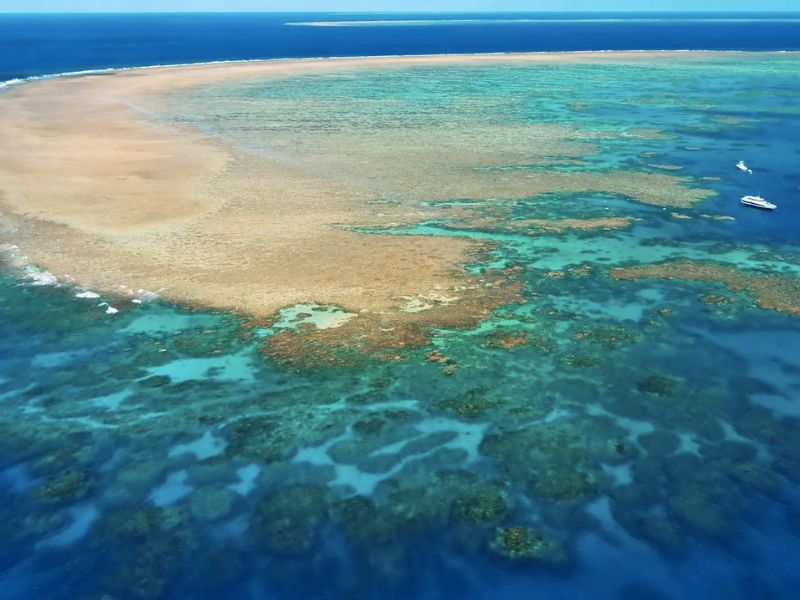 Great Barrier Reef được mệnh danh là hệ thống san hô lớn nhất trên toàn thế giới