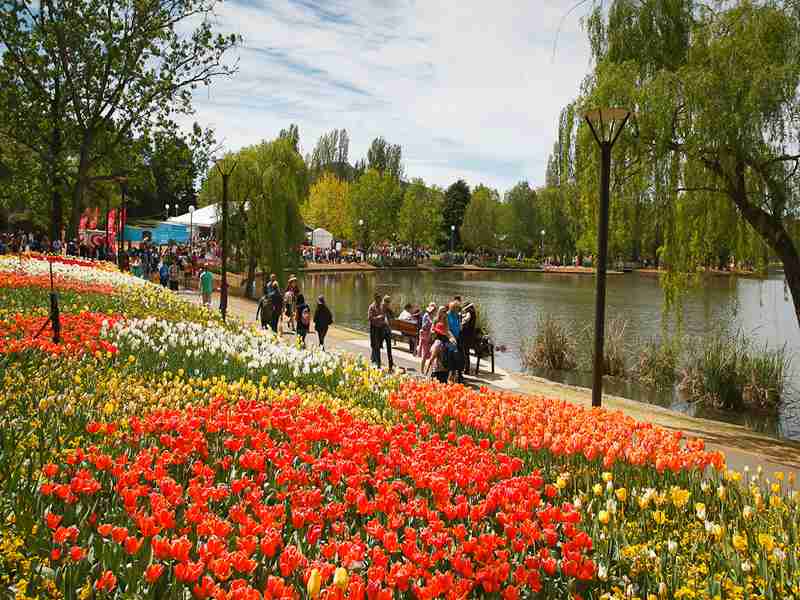 Kinh nghiệm du lịch Úc - lễ hội hoa Floriade