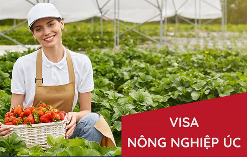 Tìm hiểu về visa làm nông nghiệp tại Úc